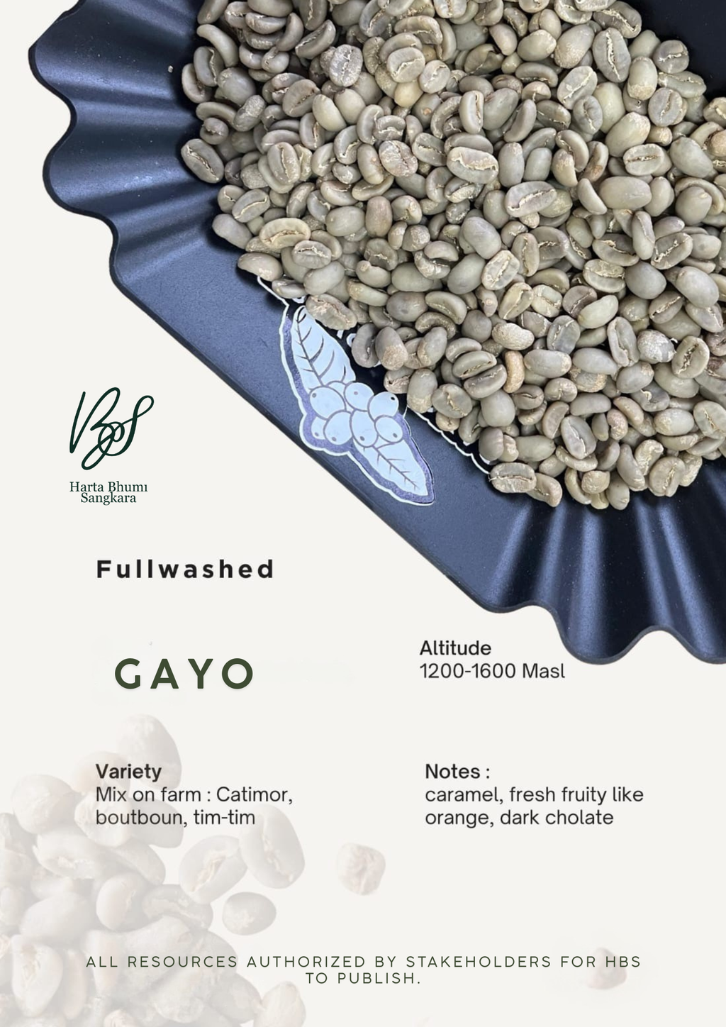 Coffee Gayo
