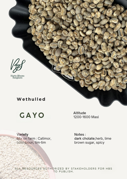 Coffee Gayo