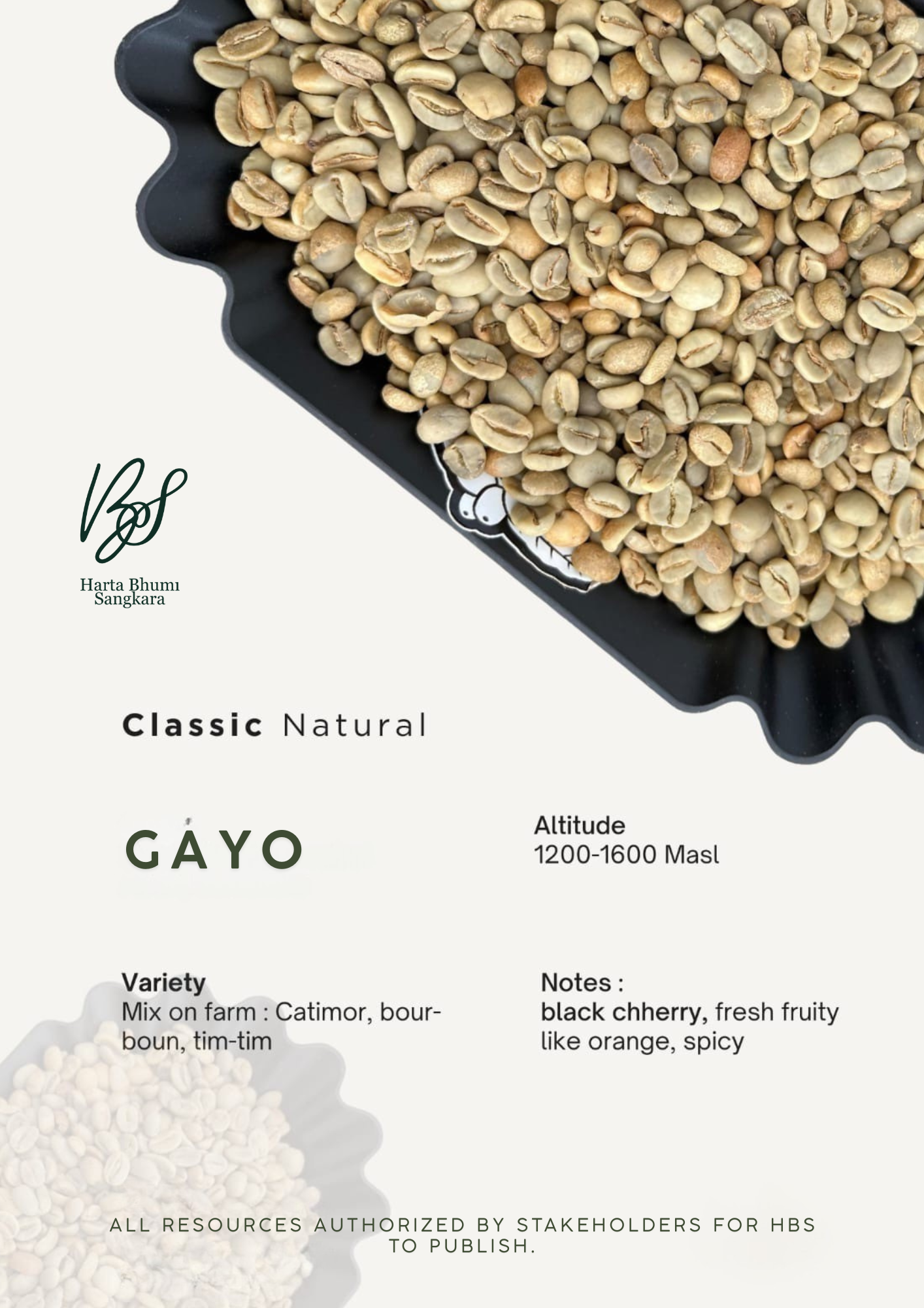 Coffee Gayo