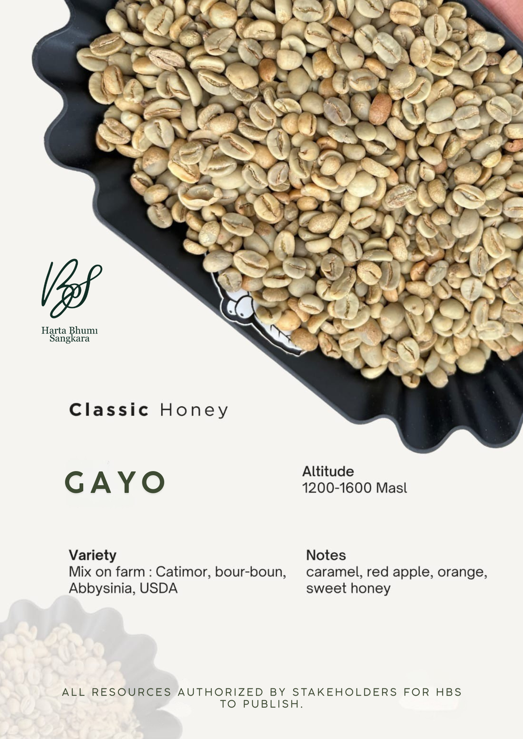 Coffee Gayo