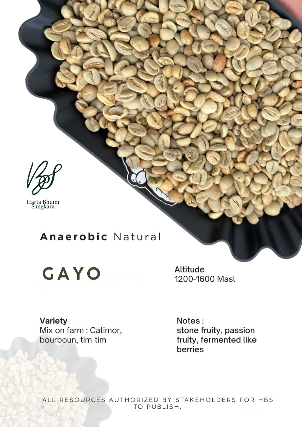 Coffee Gayo