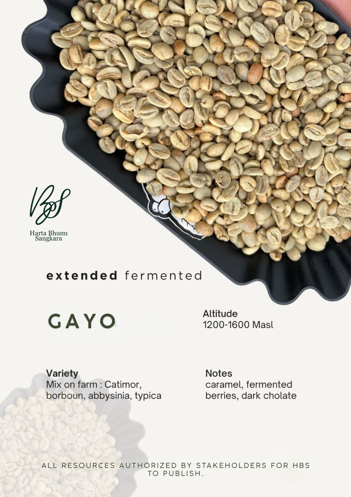 Coffee Gayo